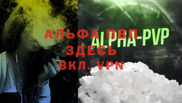 стаф Волоколамск