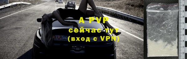 стаф Волоколамск