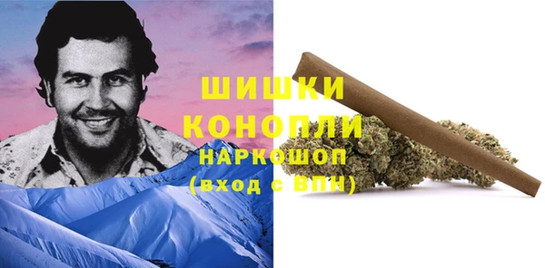 стаф Волоколамск