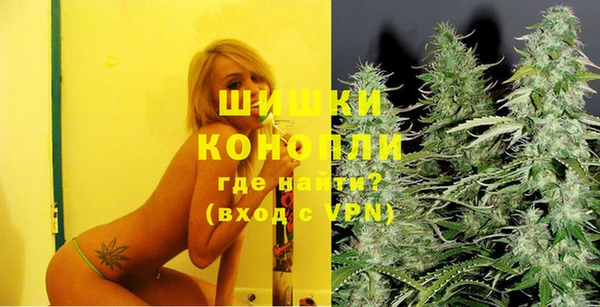 стаф Волоколамск