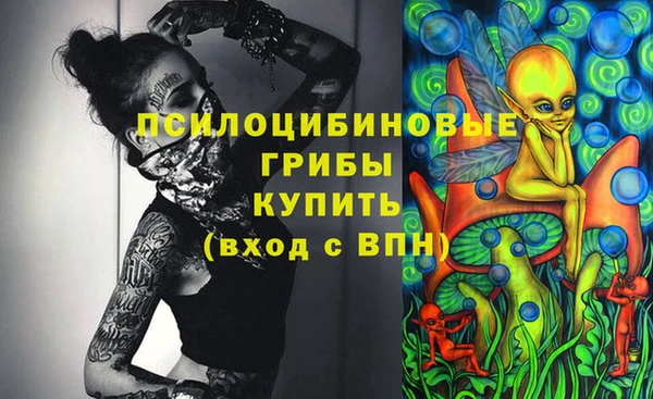 стаф Волоколамск