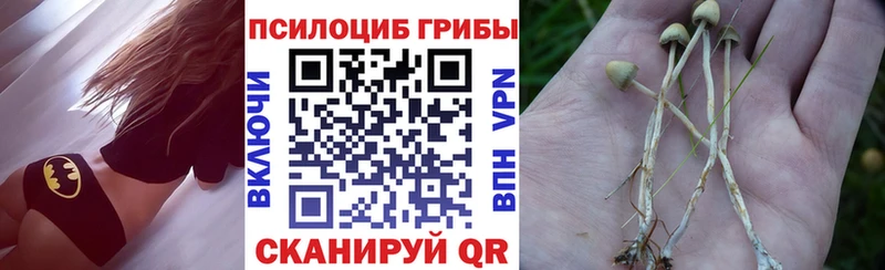 Галлюциногенные грибы мухоморы  блэк спрут маркетплейс  Вологда 